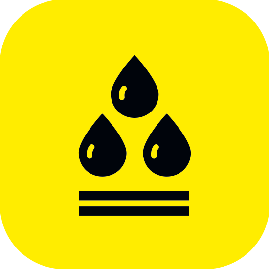 Rexton-Icon